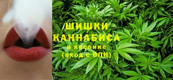 гашик Алзамай