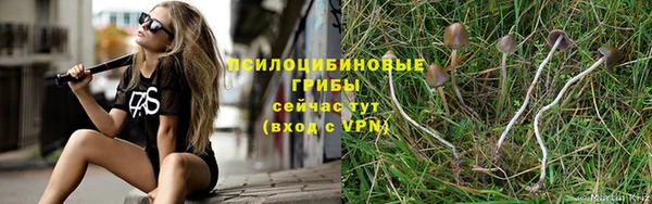 ПСИЛОЦИБИНОВЫЕ ГРИБЫ Алексеевка