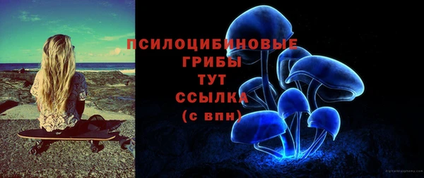 гашик Алзамай